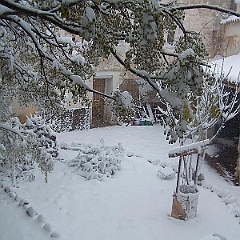 nieve 14 - 12 - 09 130